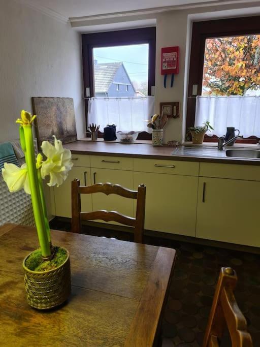Haus Paesch Nahe See Mit Beheiztem Whirlpool/Sauna ビュートゲンバッ エクステリア 写真